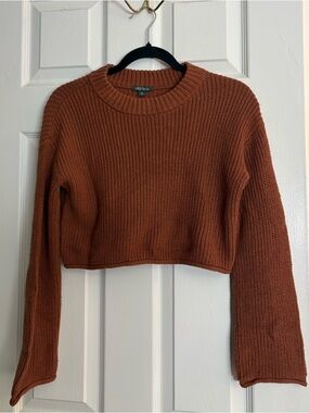 wild fable Rust Cropped Knit Sweater